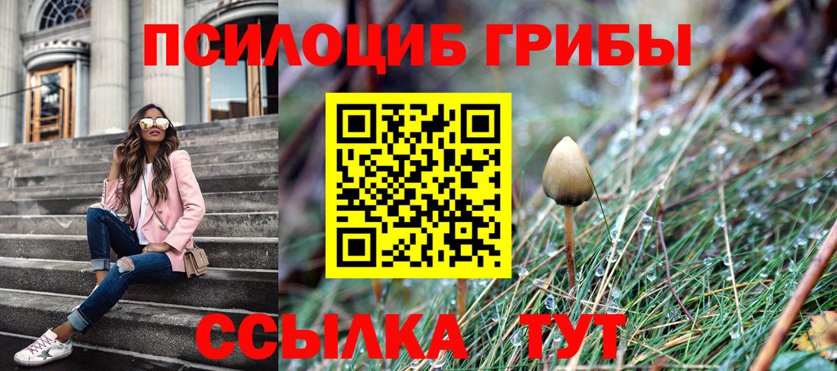 Галлюциногенные грибы мицелий  Псилоцибиновые грибы Cubensis  Вход с VPN  Киржач 