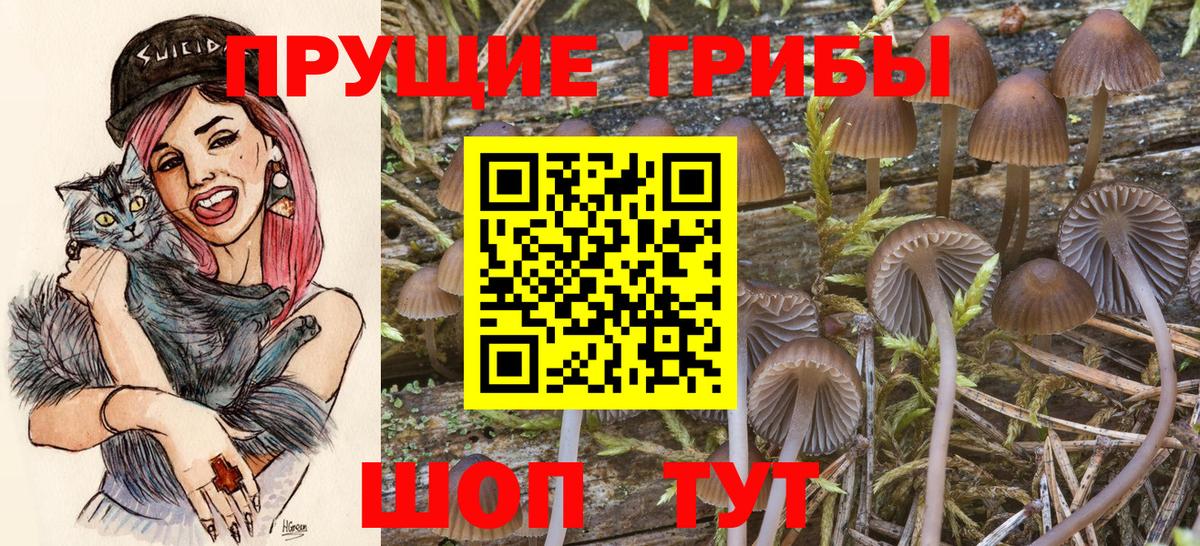 Псилоцибиновые грибы мицелий Киржач